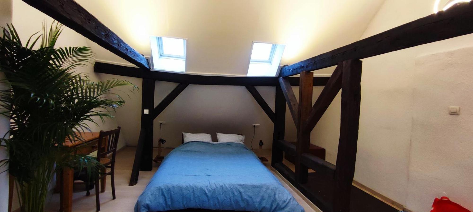 Haven Apartment Strasbourg Bagian luar foto