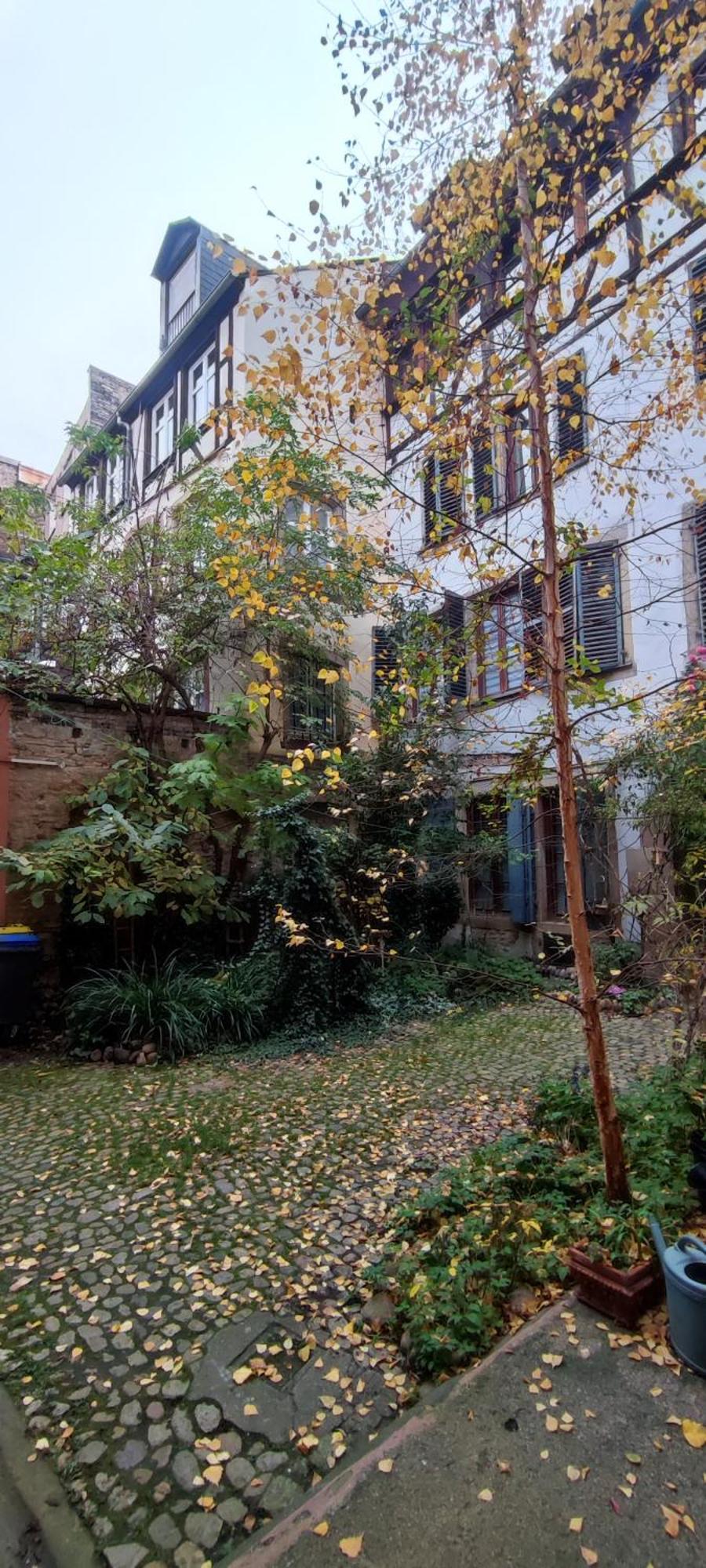 Haven Apartment Strasbourg Bagian luar foto